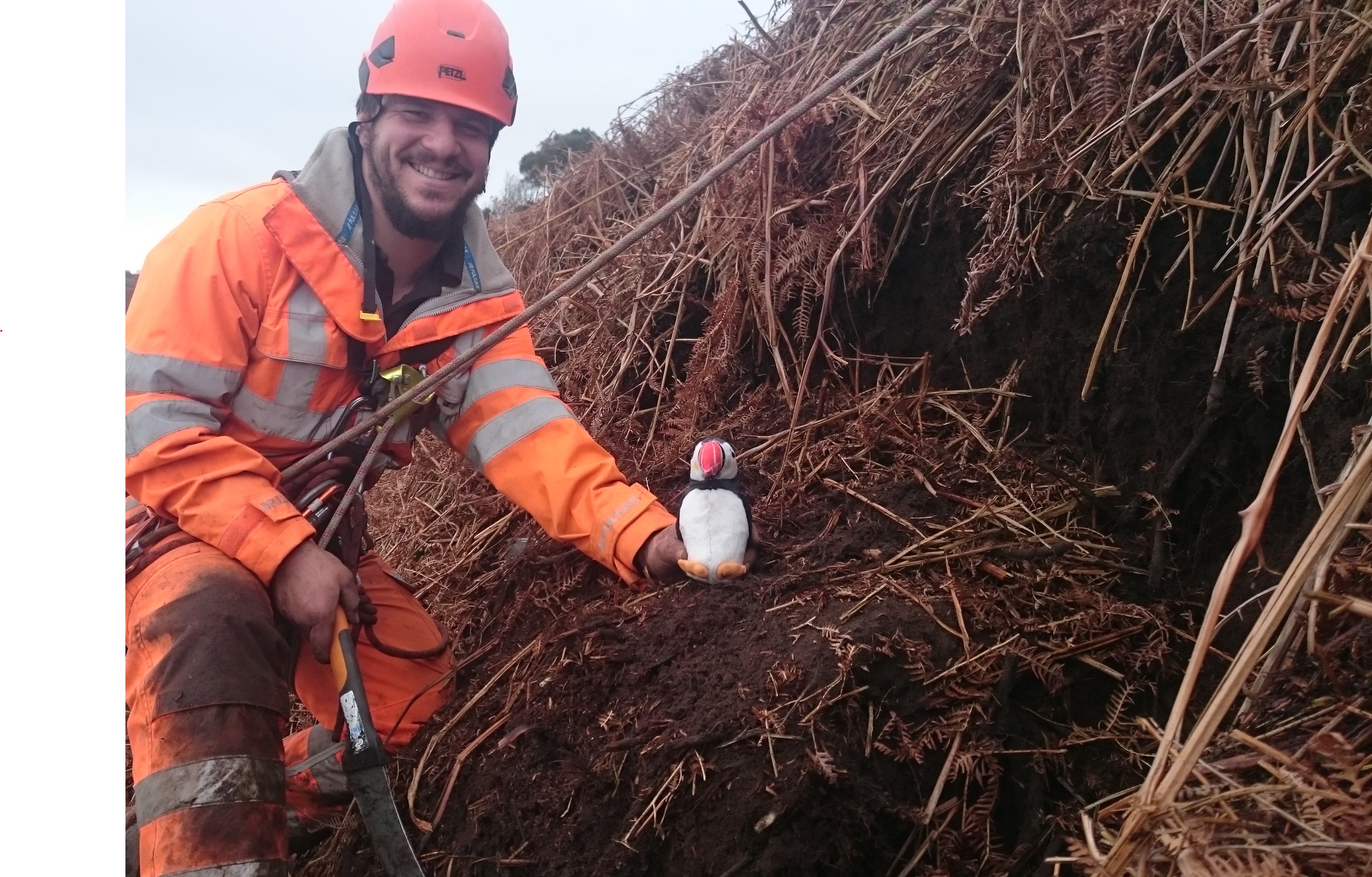 Geomarine help with Puffin Housing Crisis